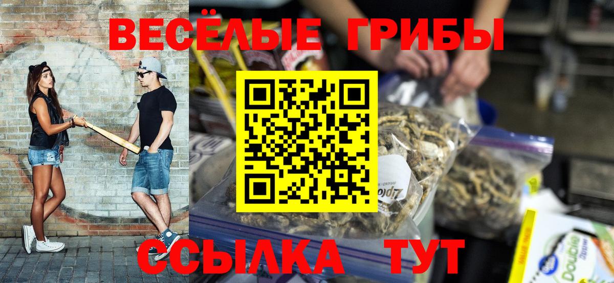 Галлюциногенные грибы Magic Shrooms  Вход с VPN  хочу   Петропавловск-Камчатский 